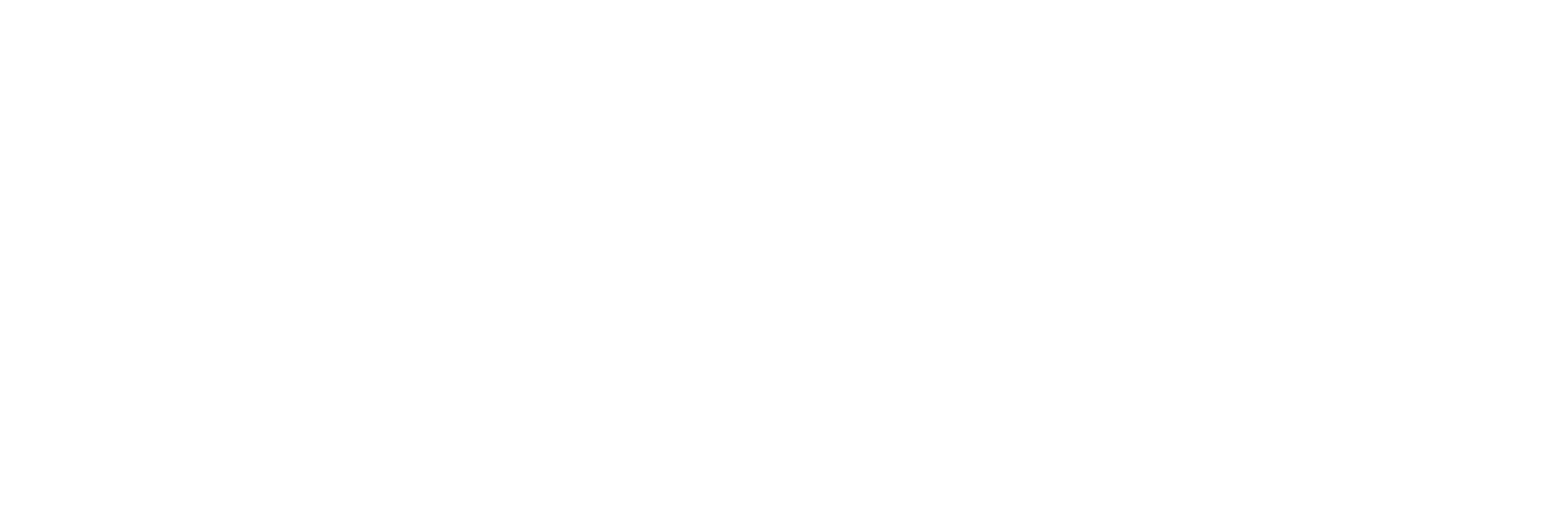 Logo-blanco